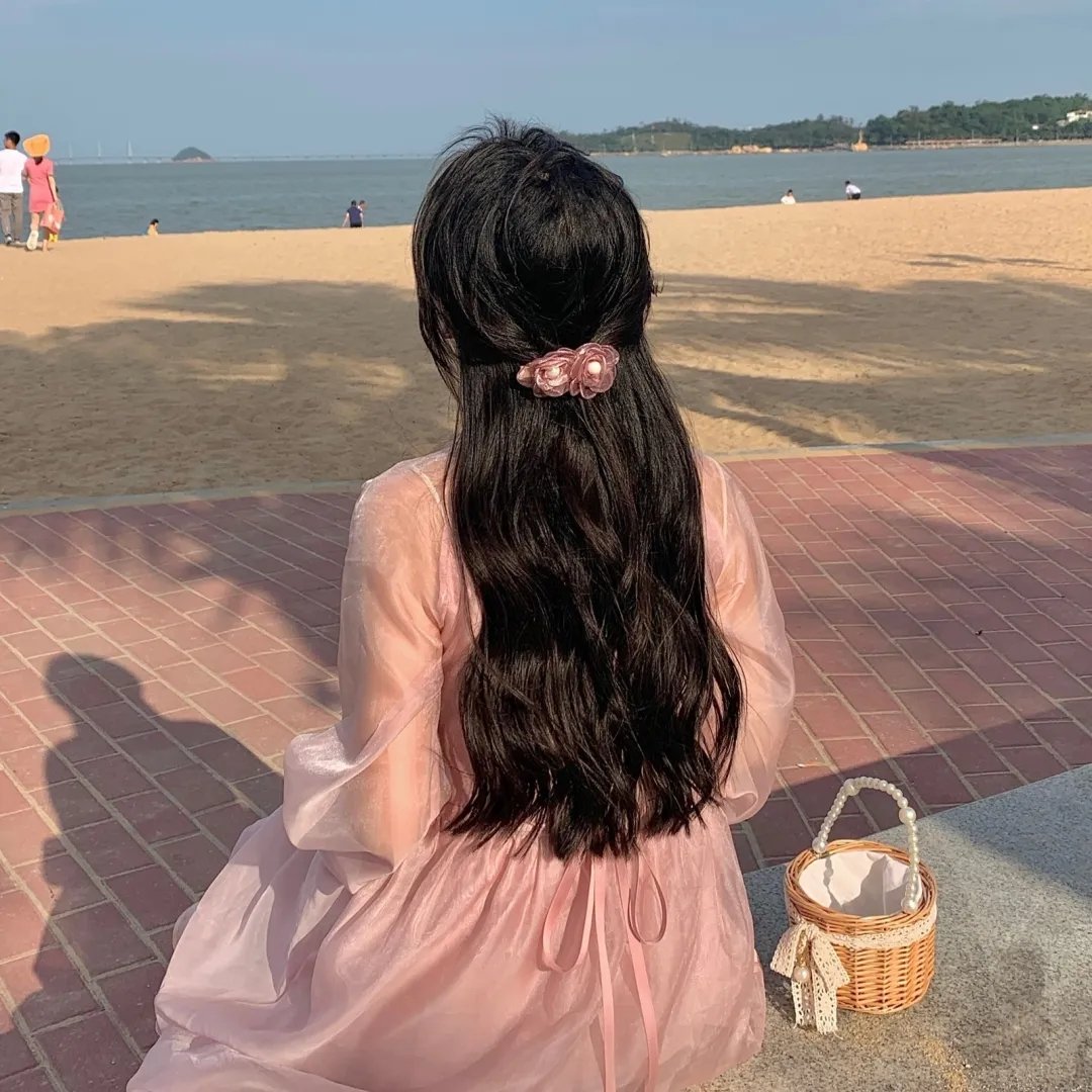 假元首秘纪