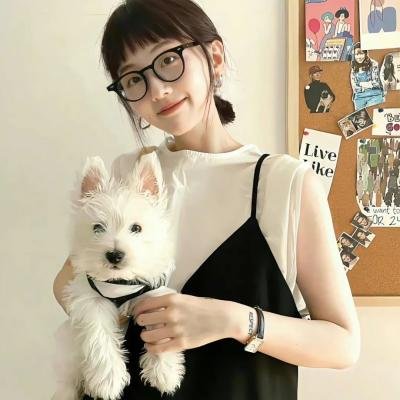淘气飞行猴